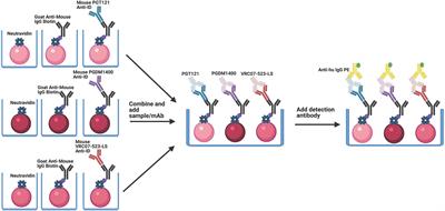 Validation of a Triplex Pharmacokinetic Assay for Simultaneous Quantitation of HIV-1 Broadly Neutralizing Antibodies PGT121, PGDM1400, and VRC07-523-LS